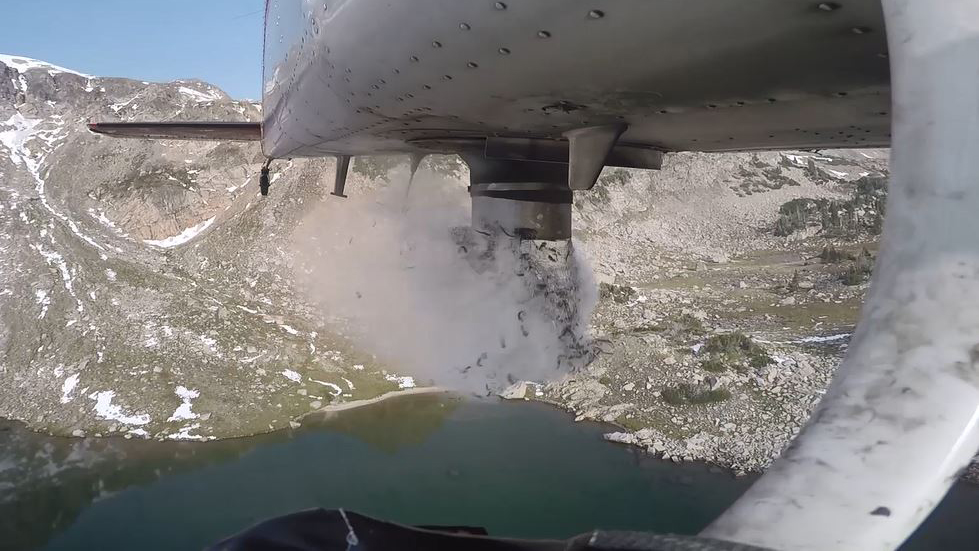 Cutthroat Trout Stocked into Colorado Mountains and Lakes by Airplane