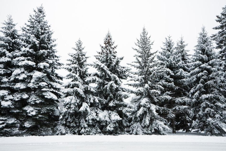 Thousands without power in Colorado mountains after widespread outage occurs | OutThere Colorado