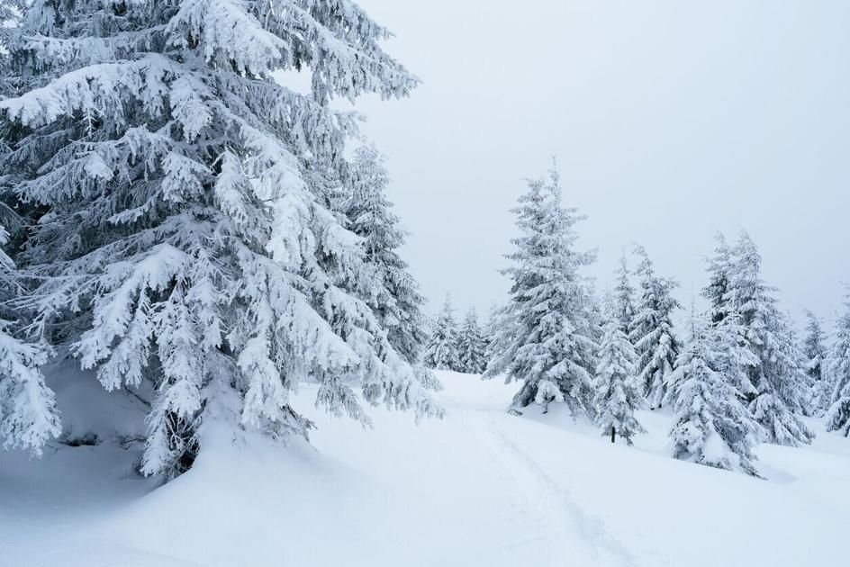12 inches of spring snow to drop in Colorado mountains | OutThere Colorado